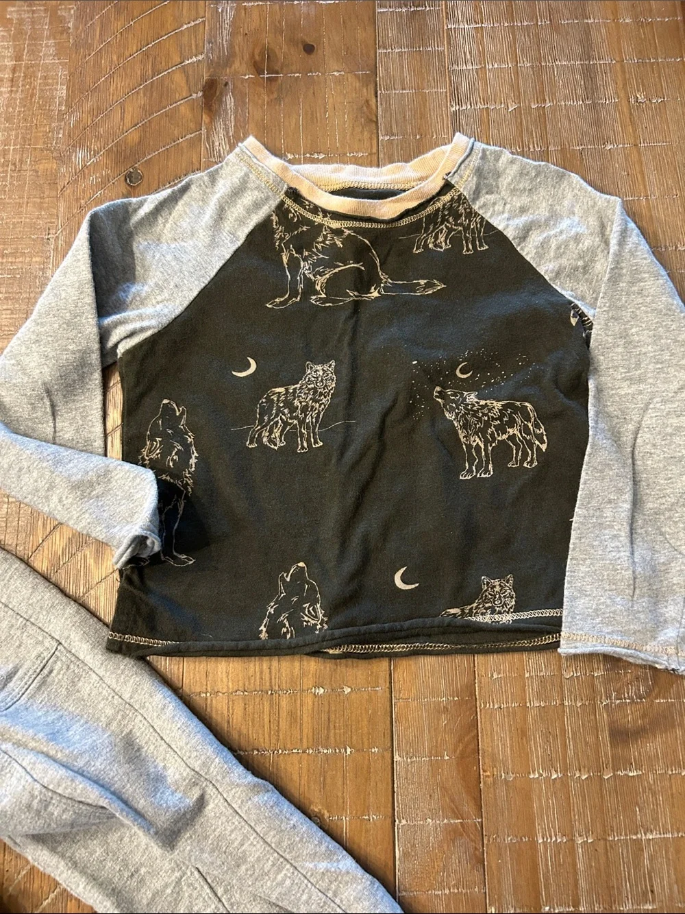 Burt's Bees Kids Grey Sweatpants Joggers Set with Black Wolf Tee
